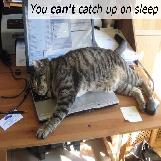 Catching Up On Sleep Myth