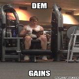 Dem Gains
