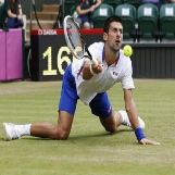 Novak Djokovic Knows What it Takes