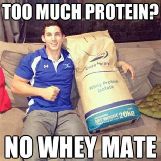 Too much Protein? No Whey Mate