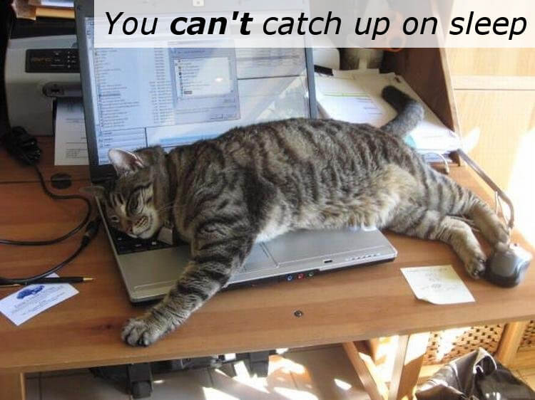 Catching Up On Sleep Myth