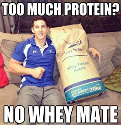 Too much Protein? No Whey Mate