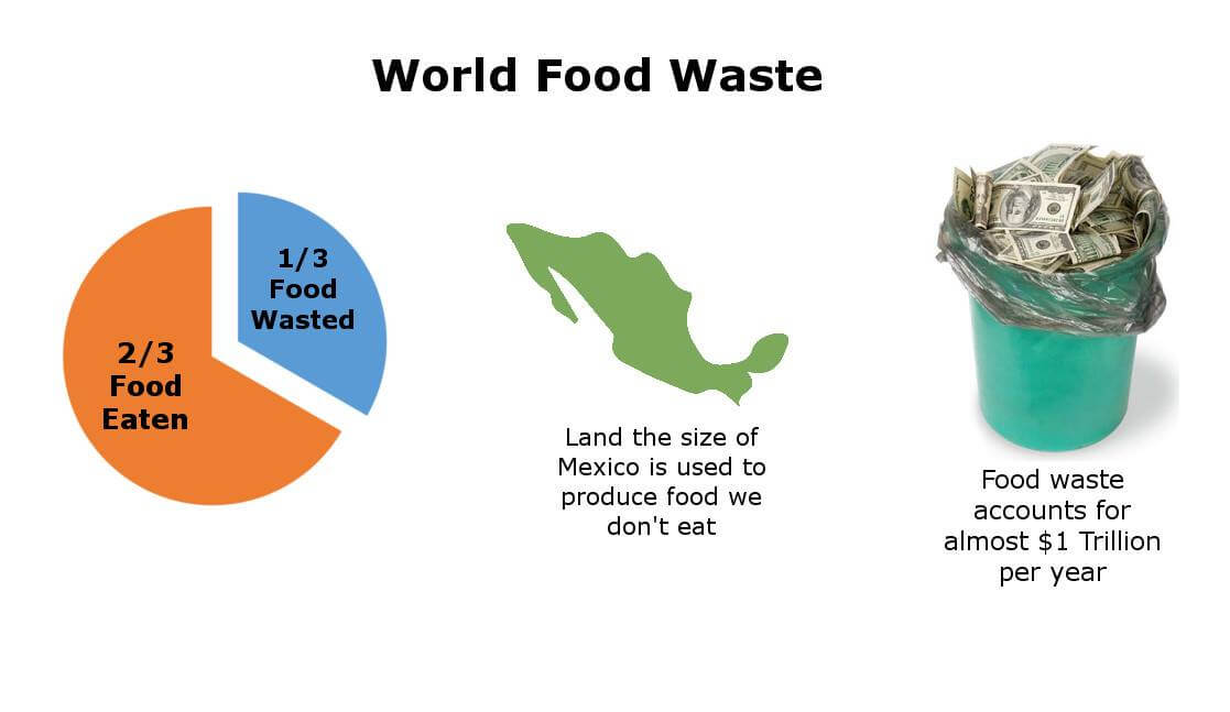 World Food Waste