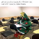 Final Exams During Christmas
