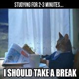 Studying For 2-3 Minutes.. I Should Take a Break