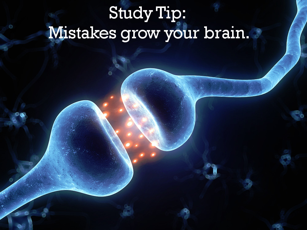 Mistakes Grow Your Brain