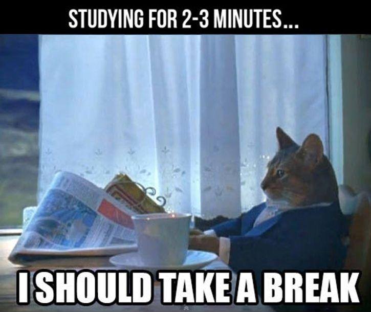 Studying For 2-3 Minutes.. I Should Take a Break