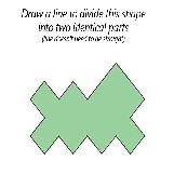 Divide this shape into two identical parts