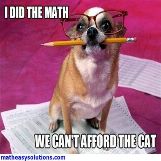 Dog concludes we cant afford the cat