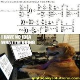 Seems like this dog has no idea what hes doing