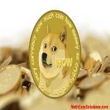 Wow much coin