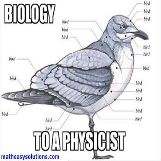 Biology to a physicist 
