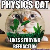 Physics cat likes refraction