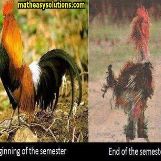 A semester takes a toll 