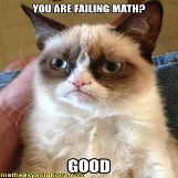 Grumpy cat likes when others fail math