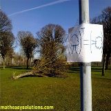 How a tree looks like when transposed