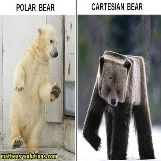 How a cartesian bear looks like
