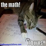 Math burns cats too