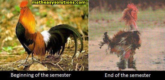 A semester takes a toll 