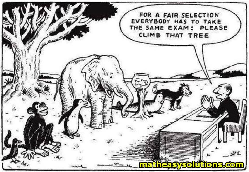 Exams are not fair