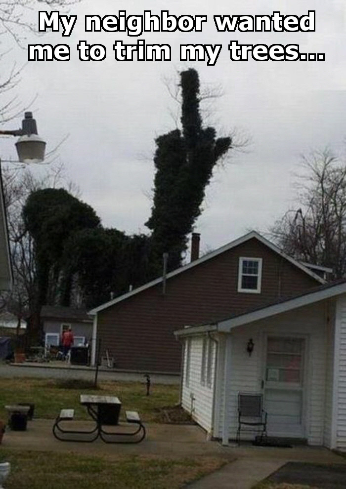 Neighbor Trimming Trees Prank