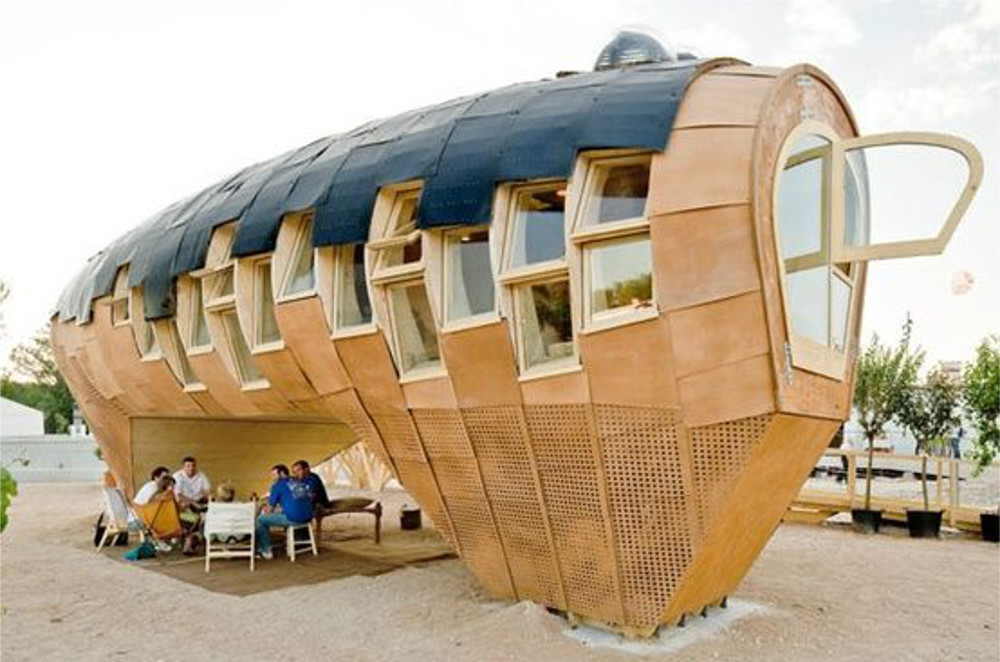 Pig Shaped House