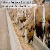 We feed farm animals for than we do humans