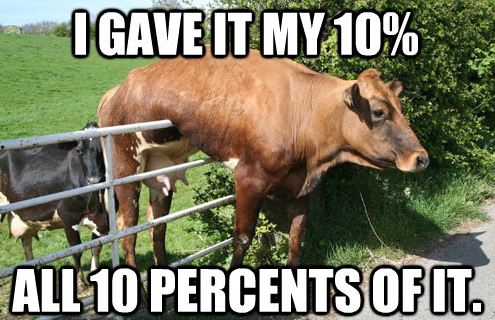 I Gave It My 10%, All 10 Percents Of It
