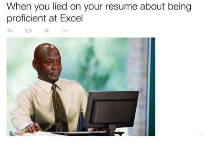 Lied on Resume about being proficient at Microsoft Excel