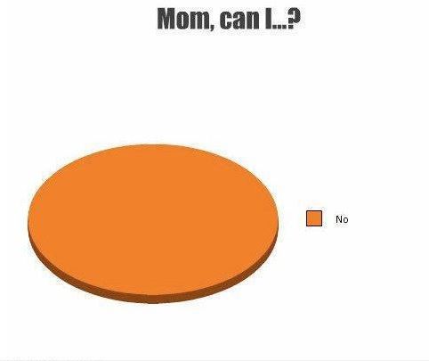 Mom, Can I...? No.