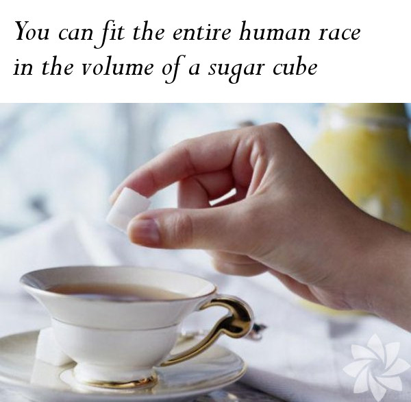 The Entire Human Race in a Sugar Cube