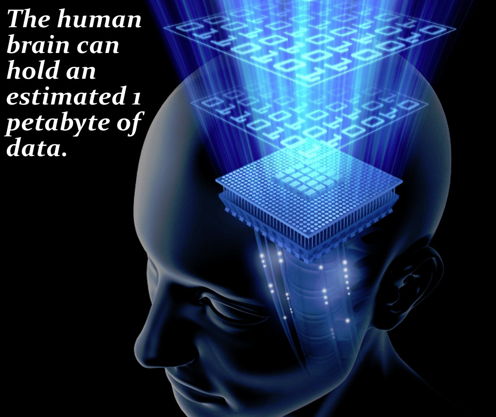 The Human Brain Can Hold a Ridiculous Amount of Storage