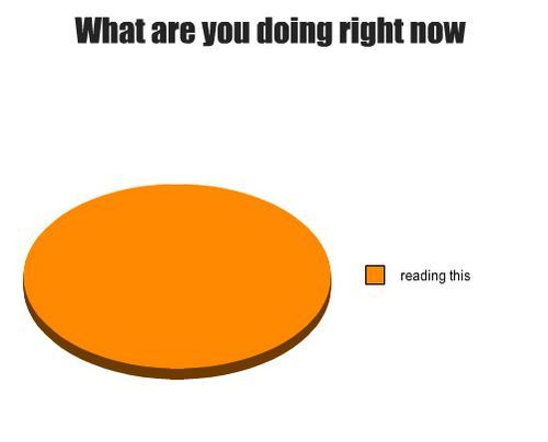 What Are You Doing Right Now Pie Chart