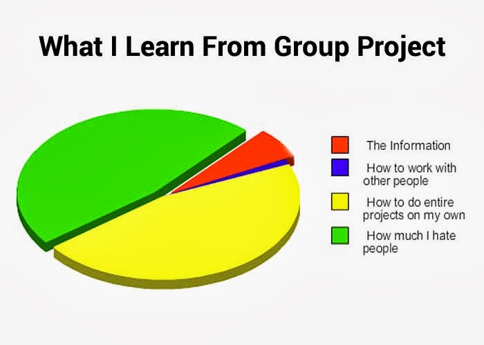 What I learn From Group Projects Pie Chart