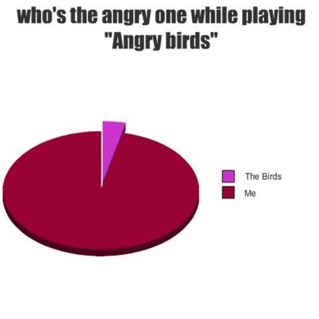 Who Is Angry Playing Angry Birds Pie Chart