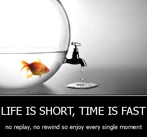 Life is Short, Time is Fast