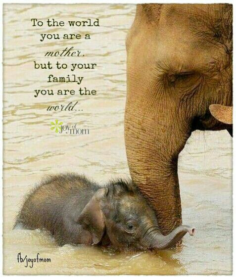 Mother's Day Quote