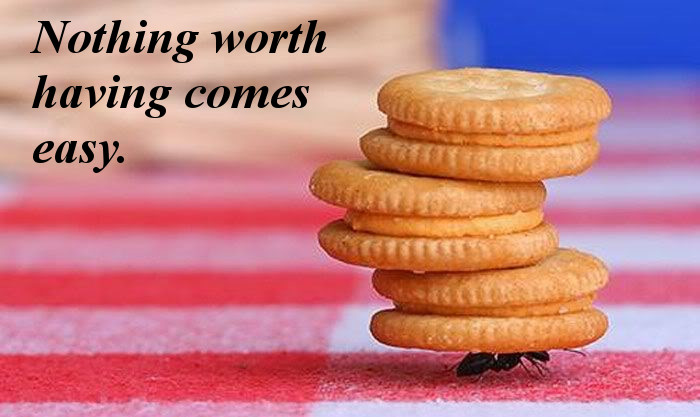 Work as hard as an ant does